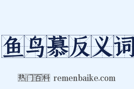 鱼鸟慕反义词是什么意思的图片